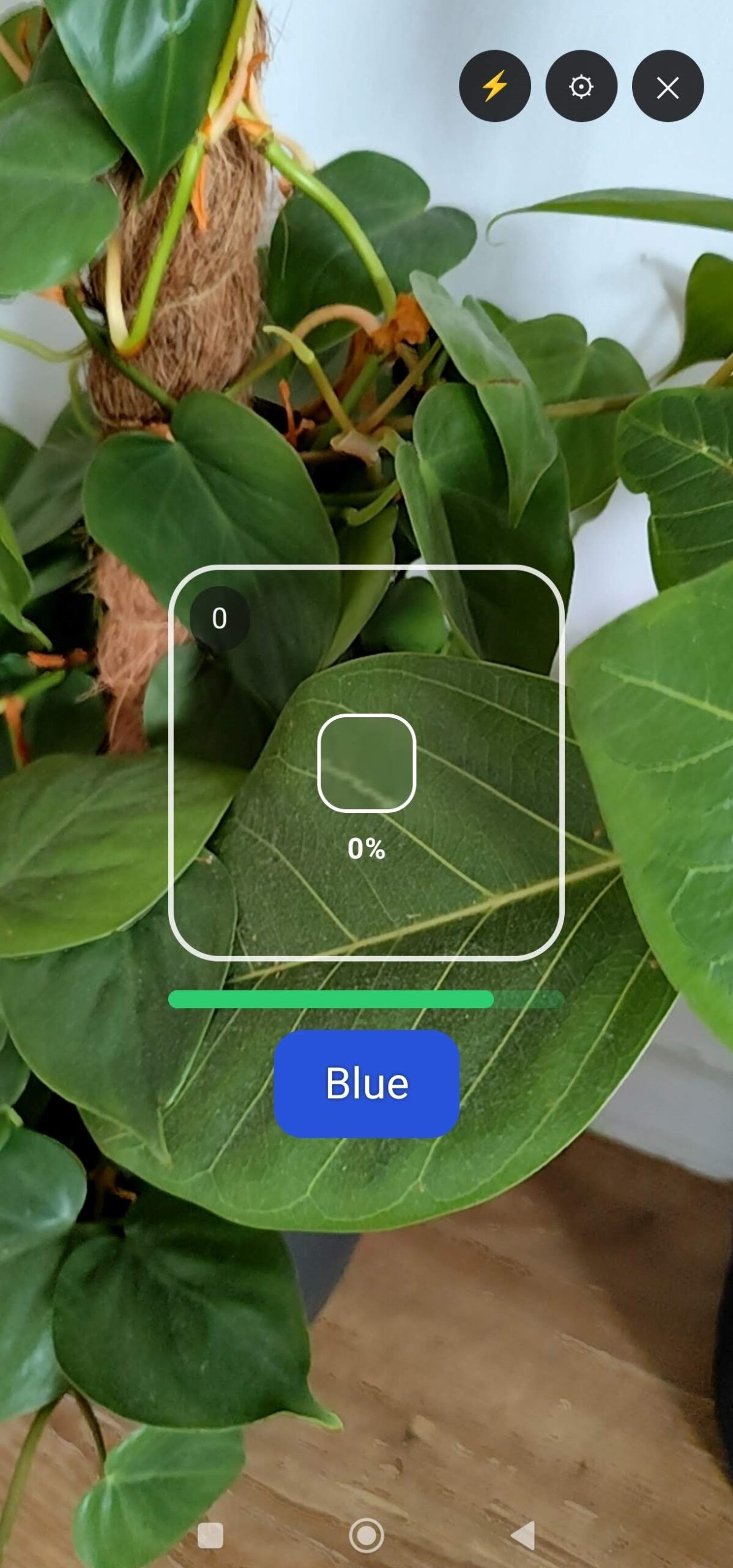 Color Hunt: Camera AR Game by MaslonLabs